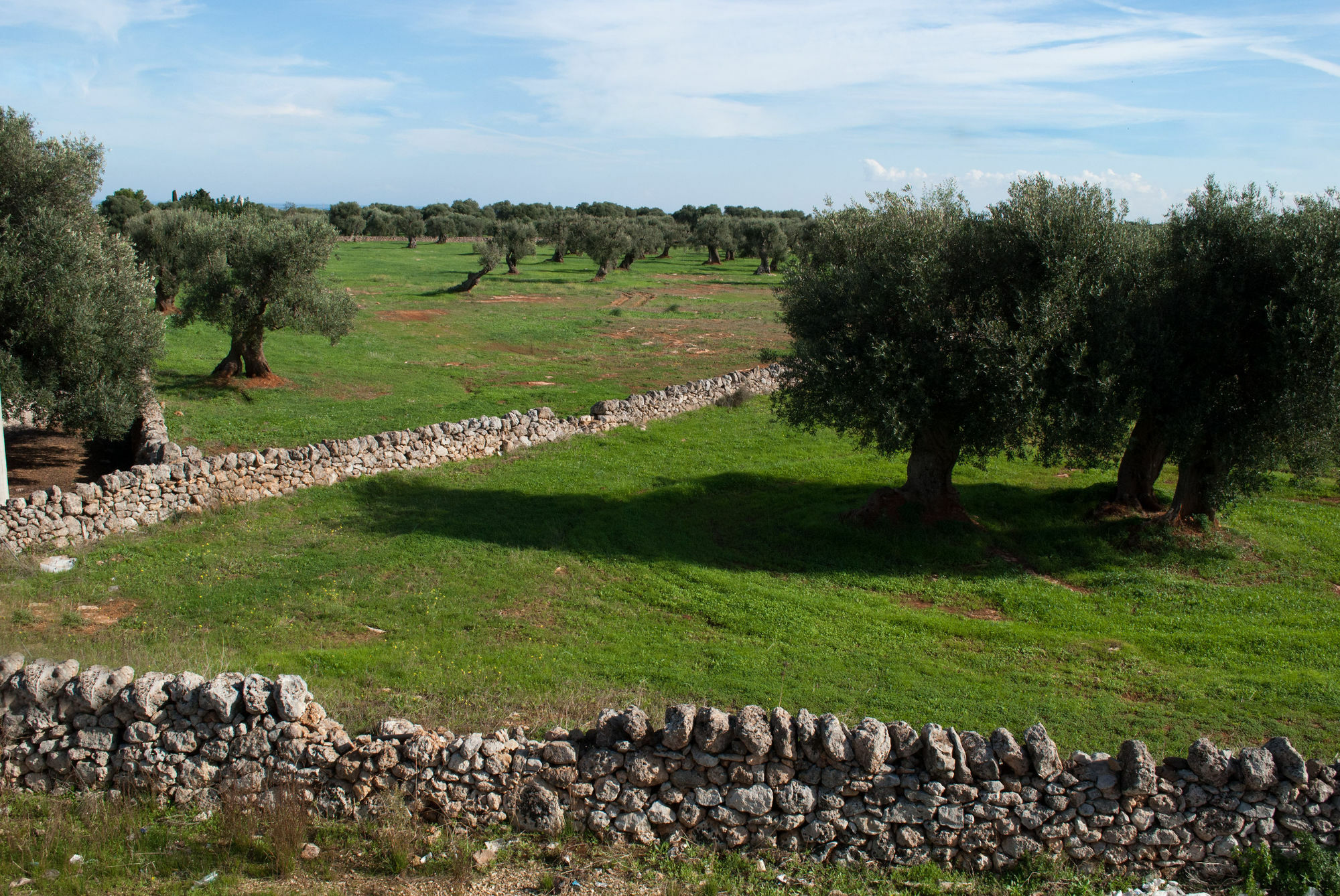 Masseria Lama D'Impisa Fasano Exterior photo